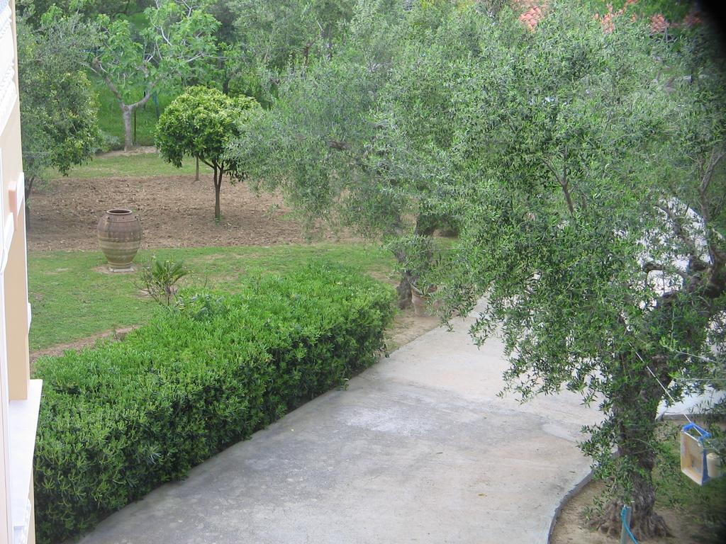 Dimaras Apartments Vasilikí 외부 사진