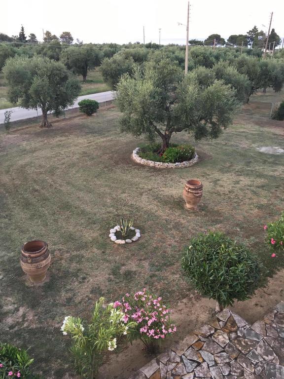 Dimaras Apartments Vasilikí 외부 사진