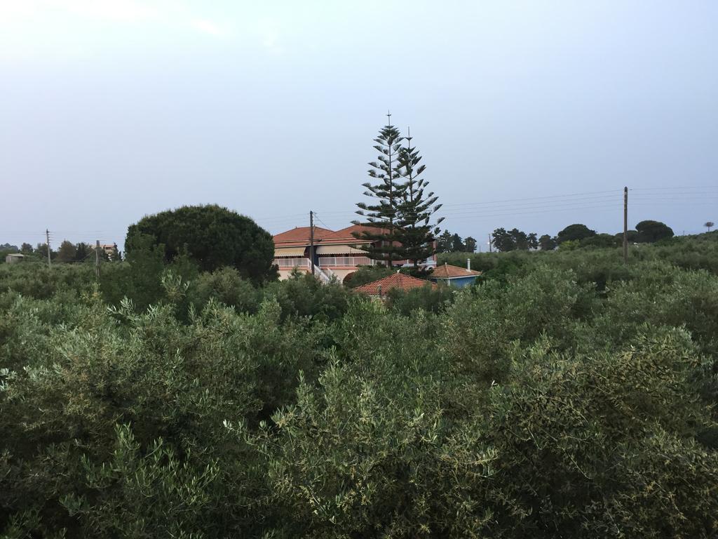 Dimaras Apartments Vasilikí 외부 사진