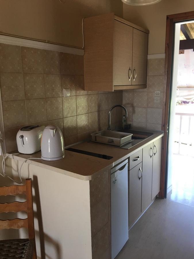 Dimaras Apartments Vasilikí 외부 사진
